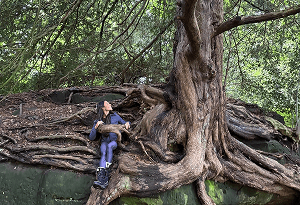 Person sitting on large tree roots in a forest, playing guitar.