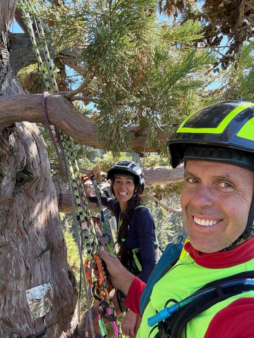Tree climbers smiling during an adventure.
